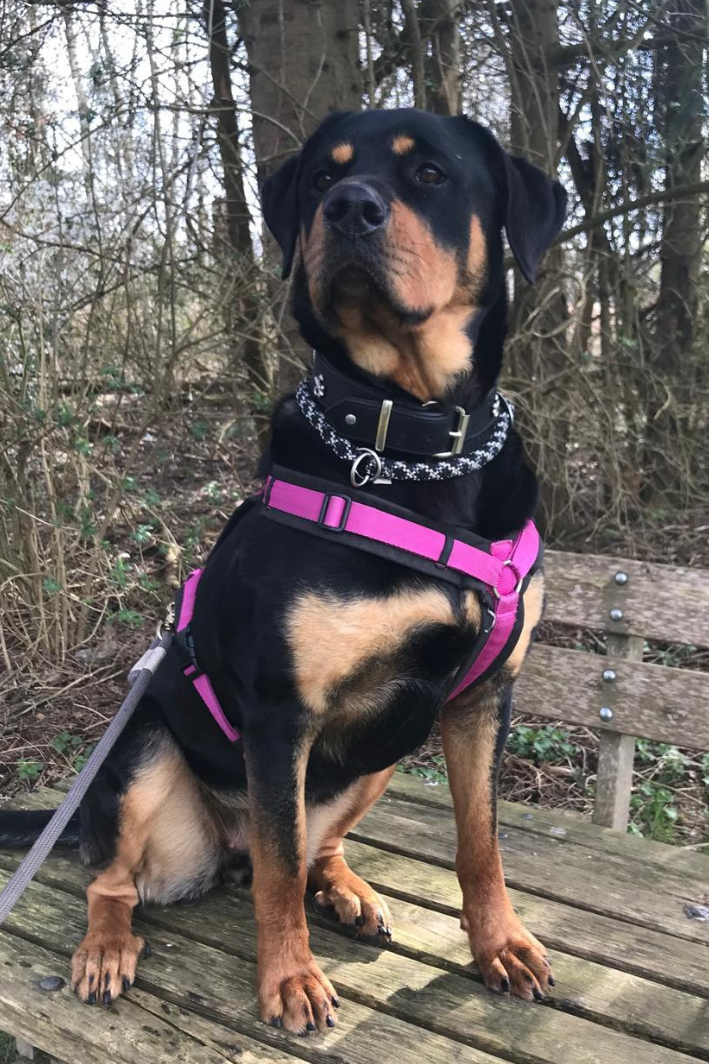 Lucy